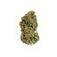Royal Queen Seeds Seminte de canabis Sour Diesel feminizate
