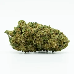 Floare de seră CBD Northern Light 11 %, 1 g - 100 g