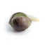 Royal Queen Seeds Seminte de canabis Royal Cheese Auto