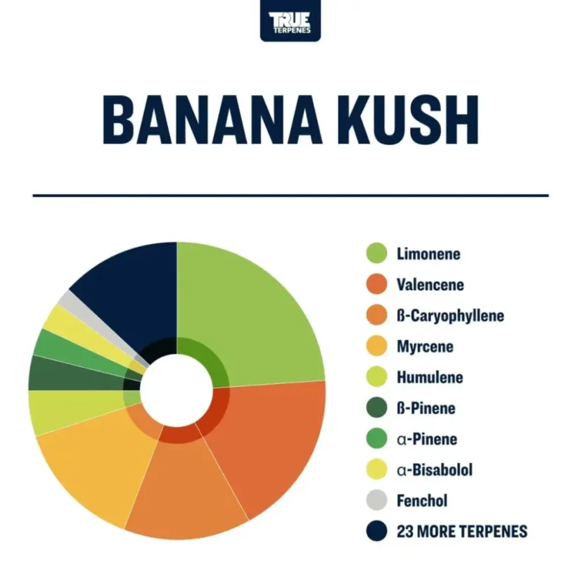 True Terpenes Flavour Infused Banana Kush (5 ml - 960 ml)