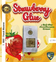 TH Seeds Cannabis Seeds Strawberry Glue, 710 Limited Special Pack, θηλυκοποιημένο