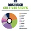 True Terpenes Cultivar Series Dosi Kush (5 ml - 960 ml)