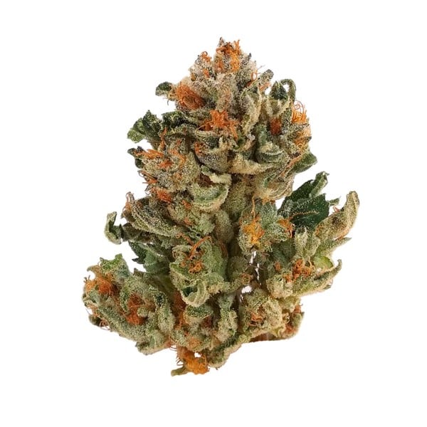 Royal Queen Seeds Seminte de canabis Royal Domina feminizate