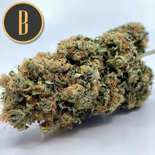 Blimburn Seeds Cannabis Seeds Chemdog #4 Nőiesített
