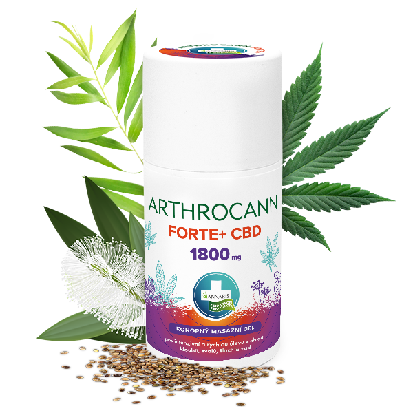 Annabis Arthrocann Gel Forte+ 1800mg CBD masszázsgél a kolosszális megkönnyebbülésért, 90 ml