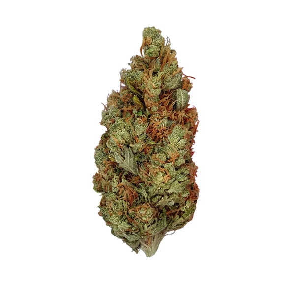 Royal Queen Seeds Seminte de Canabis Green Gelato Feminizate