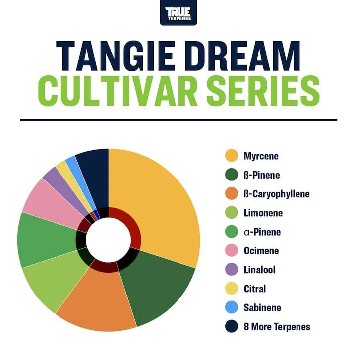 True Terpenes Cultivar Serie Tangie Dream (5 ml - 960 ml)