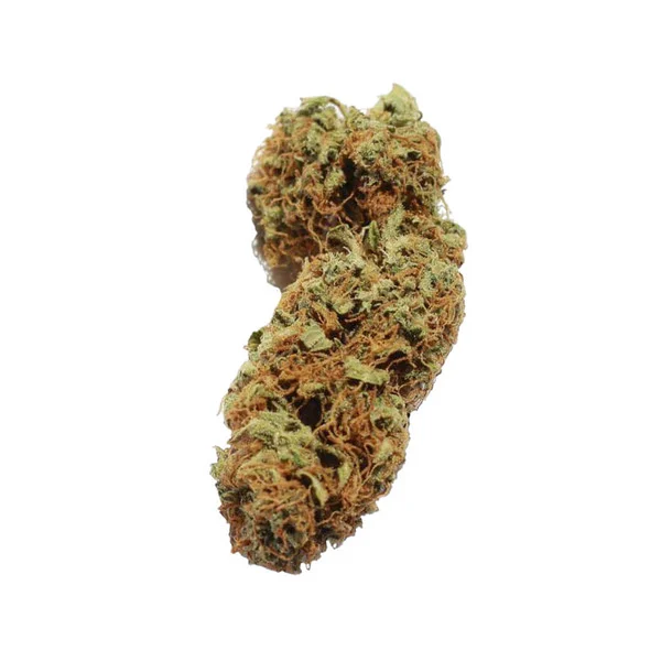 Royal Queen Seeds Seminte de canabis Northern Light Auto
