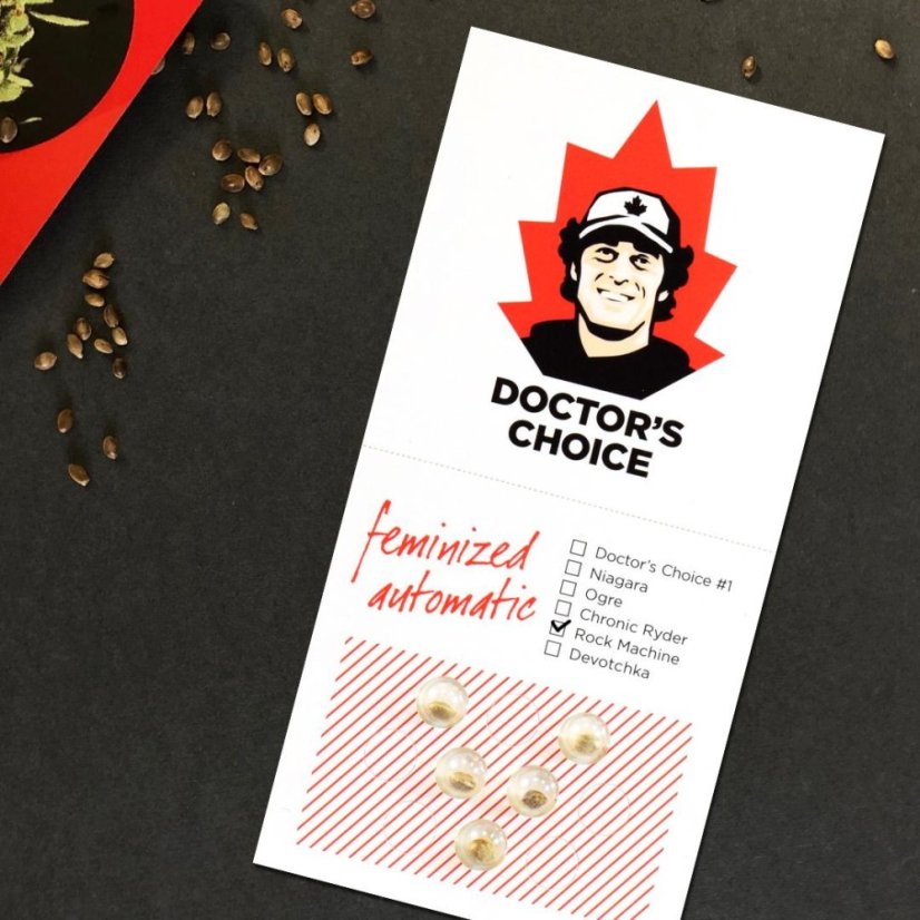 Doctor´s Choice Seeds Rock Machine Auto Feminized