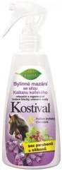 Bione Kräutersalbe mit Rosskastanie und Beinwell, 260 ml