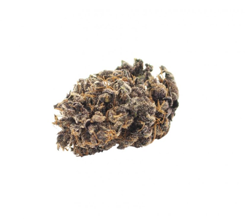 Canalogy CBD hampa Blomma Kunglig 16%, 1g - 100g