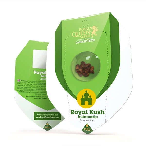 Royal Queen Seeds Seminte de canabis Royal Kush Auto