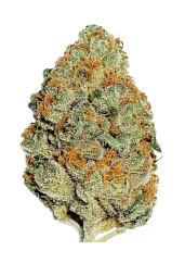 Fast Buds Sementes de Cannabis Lemon Mandarin Feminizadas
