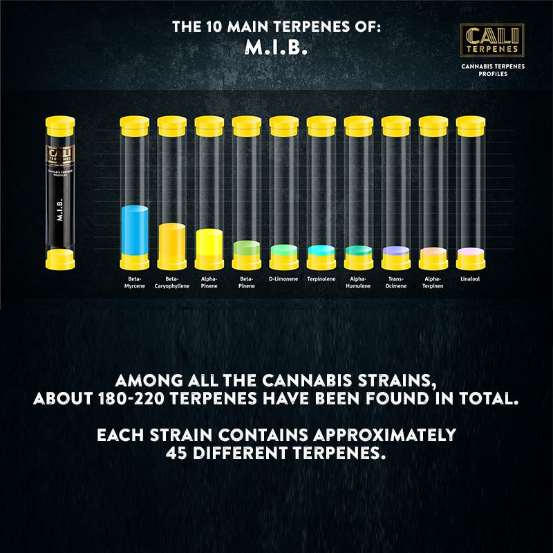 Cali Terpenes - MIB, 1 - 1000 ml