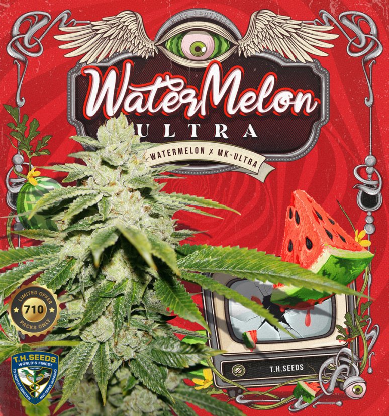 T.H.Seeds™ Seminte de canabis Watermelon Ultra, pachet special limitat 710, feminizate
