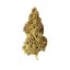 Royal Queen Seeds Seminte de canabis Pepene verde feminizate
