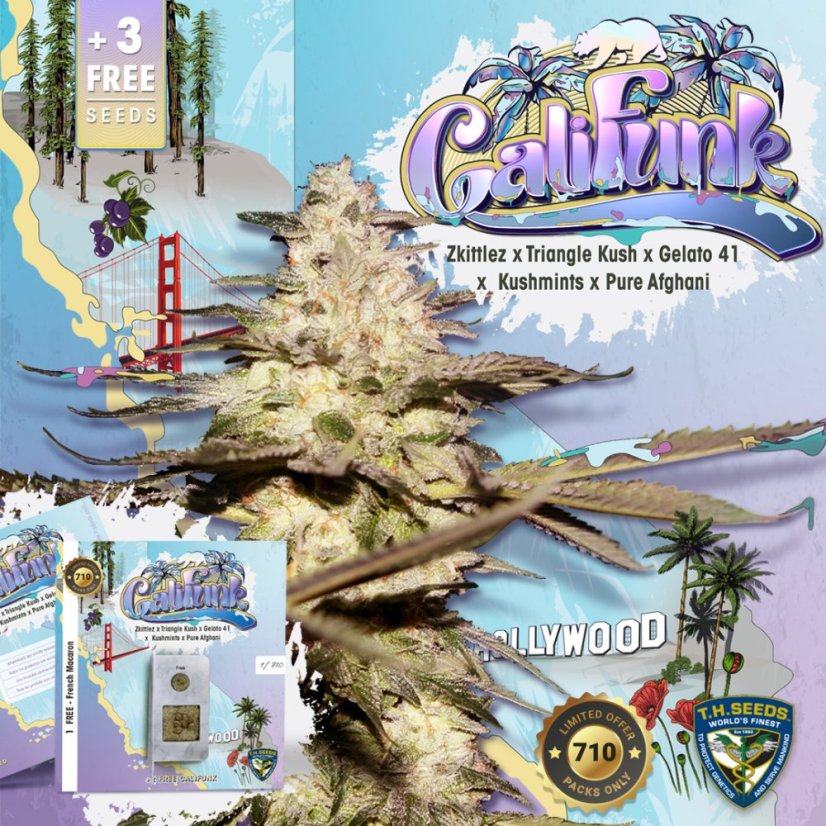 T.H.Seeds™ Semințe de canabis CaliFunk, pachet special limitat 710, feminizate