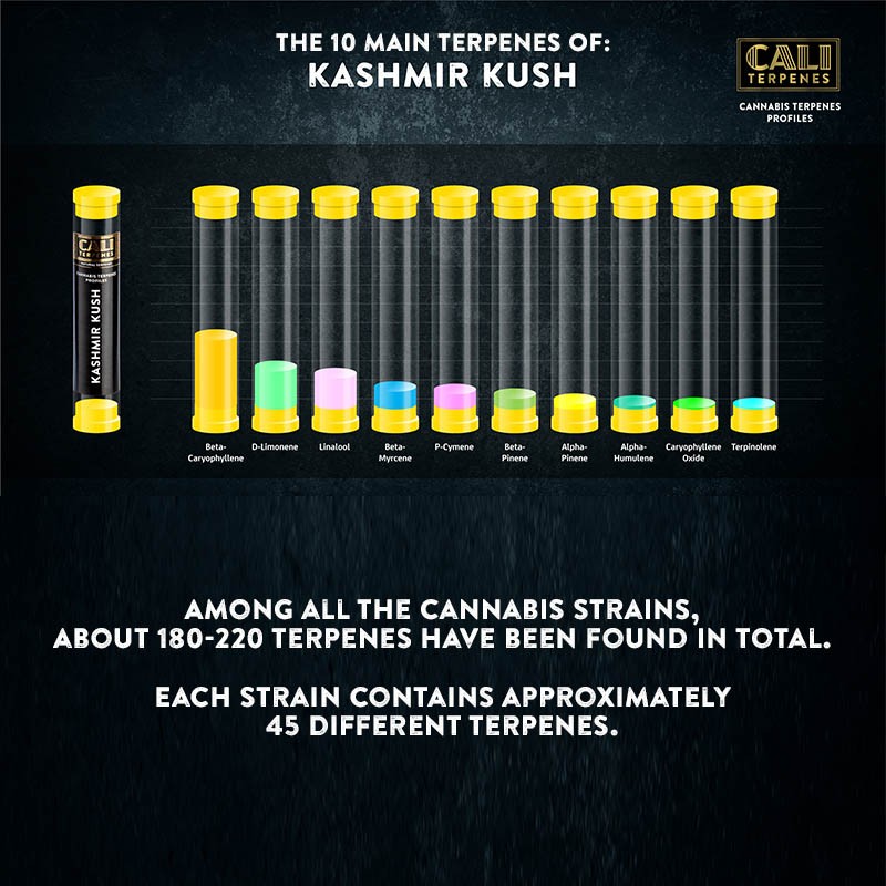 Cali Terpenes - KASHMIR KUSH, 1 - 1000 ml