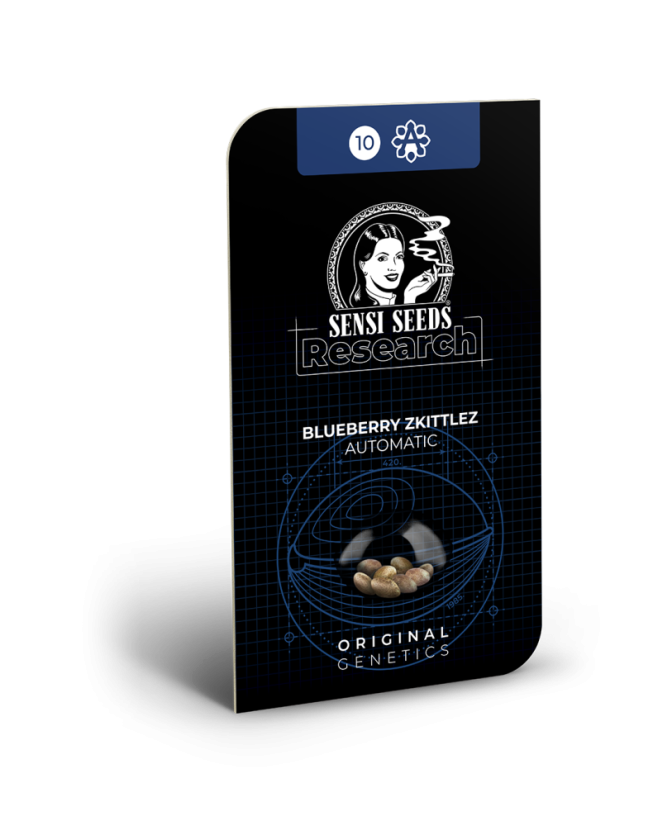 Sensi Seeds Seminte de canabis Blueberry Zkittlez Automatic Feminizate, 3-10 buc