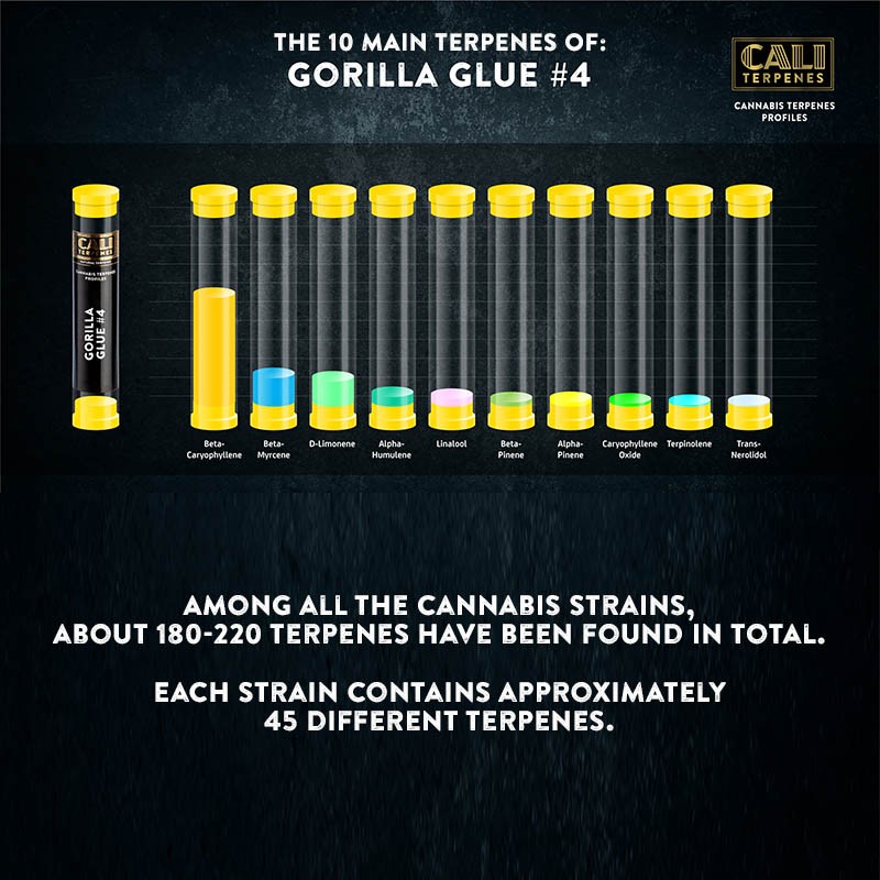Cali Terpenes - GORILLA GLUE, 1 - 1000 ml