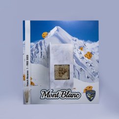T.H.Seeds™ Seminte de canabis Mont Blanc, 6+1 pachet special, feminizate