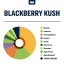 True Terpenes Flavor Infunded Blackberry Kush (5 ml - 960 ml)