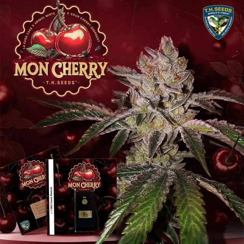T.H.Seeds™ Seminte de canabis Mon Cherry, pachete diverse, feminizate