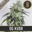 Blimburn Seeds Sjemenke konoplje OG Kush Feminized