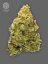 The Bulldog Seeds TB Lemon Haze Auto, 3 og 5 stk