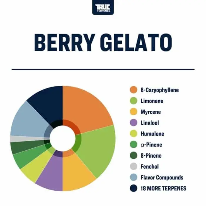 True Terpenes Smakinfunderad bärgelato (5 ml - 960 ml)
