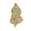 Royal Queen Seeds Seminte de canabis Pineapple Kush feminizate