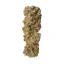 Royal Queen Seeds Seminte de Cannabis Candy Kush Express - Feminizate Rapid