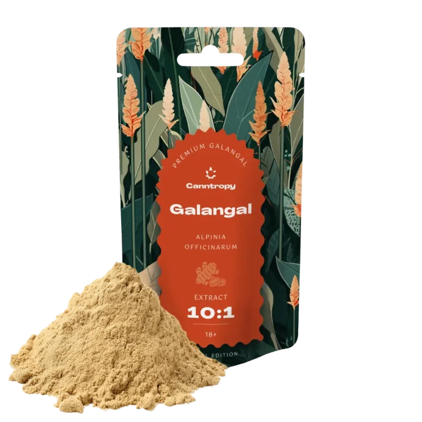 Canntropy Galangal (Alpinia officinarum), Extract 10:1, 10 - 100 g