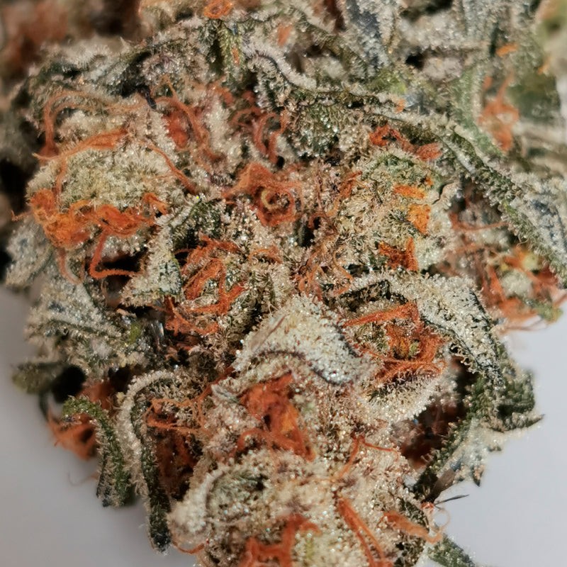 Silent Seeds Seminte clasice de canabis Amnesia Lemon feminizate