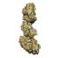 Royal Queen Seeds Tort de nunta Seminte de Canabis Feminizat