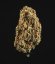 Royal Queen Seeds Semințe de canabis North Thunderfuck Auto