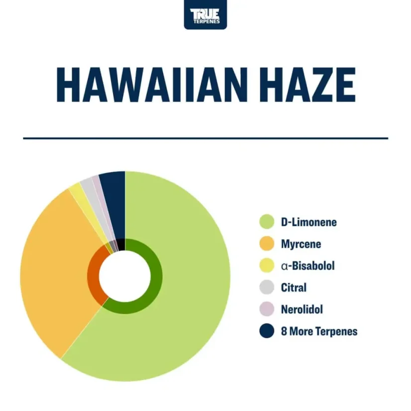 True Terpenes Flavor Infused Hawaiian Haze (5 ml - 960 ml)