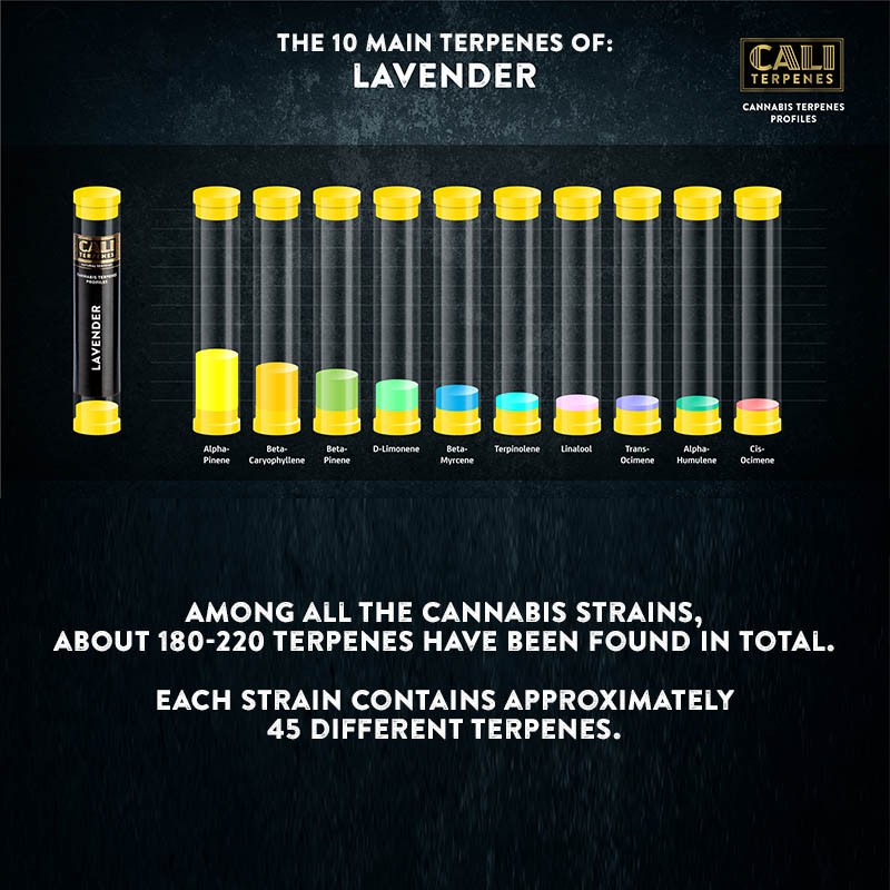 Cali Terpenes - LAVANDA, 1 - 1000 ml