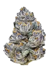 Fast Buds Feminiserede cannabisfrø Rainbow Melon