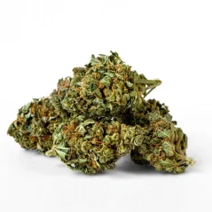 Euphoria CBD Weed Platinum Sour Apple, 100 g