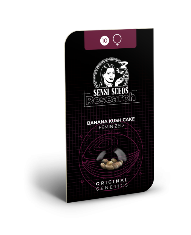Sensi Seeds Seminte de canabis Banana Kush Cake feminizate, 3-10 buc