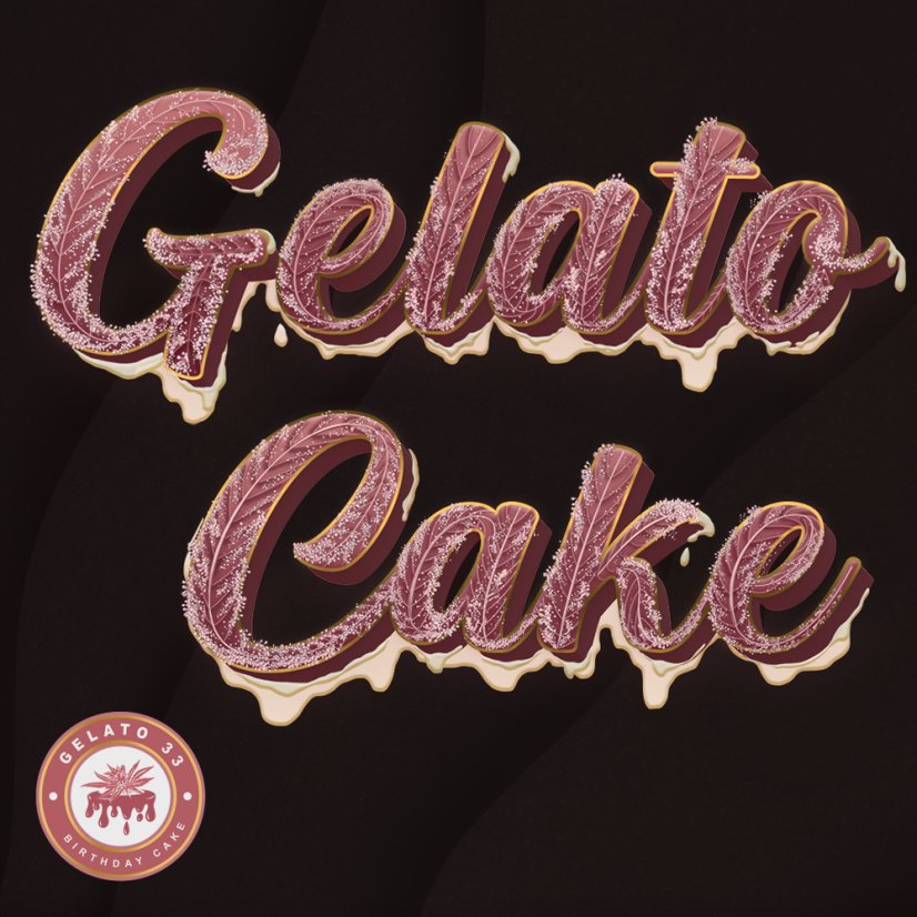T.H.Seeds™ Cannabisfrø Gelato-kage, 6+1 specialpakke, feminiseret