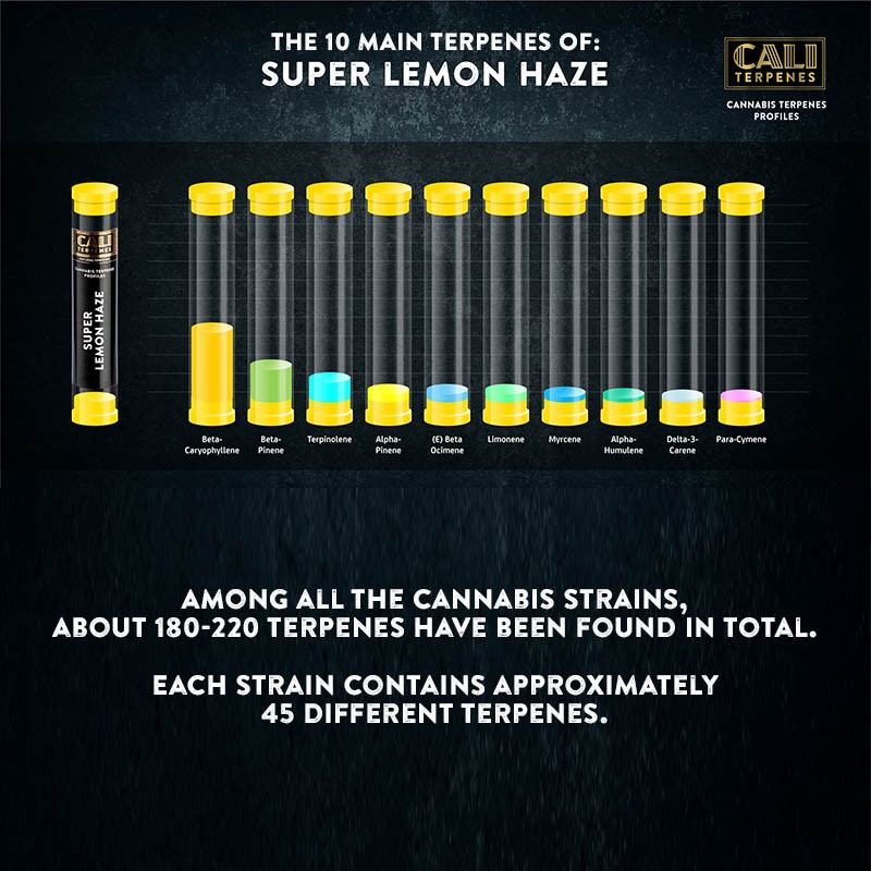 Cali Terpenes - Super Lemon Haze, 1 - 1000 ml