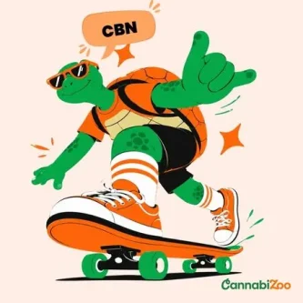 Kas yra CBN? Poveikis ir nauda. Kas yra CBN? Poveikis ir nauda.