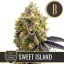 Blimburn Seeds Cannabis Seeds Sweet Island av Kyle Kushman's Feminized