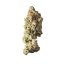 Royal Queen Seeds Semințe de canabis Shining Silver Haze feminizate