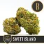 Blimburn Seeds Cannabis Seeds Sweet Island от Feminized на Kyle Kushman