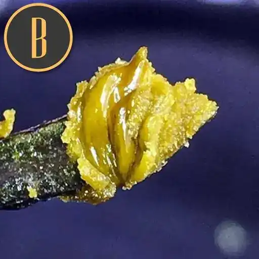 Blimburn Seeds Cannabis Seeds Green Crack Nőiesített