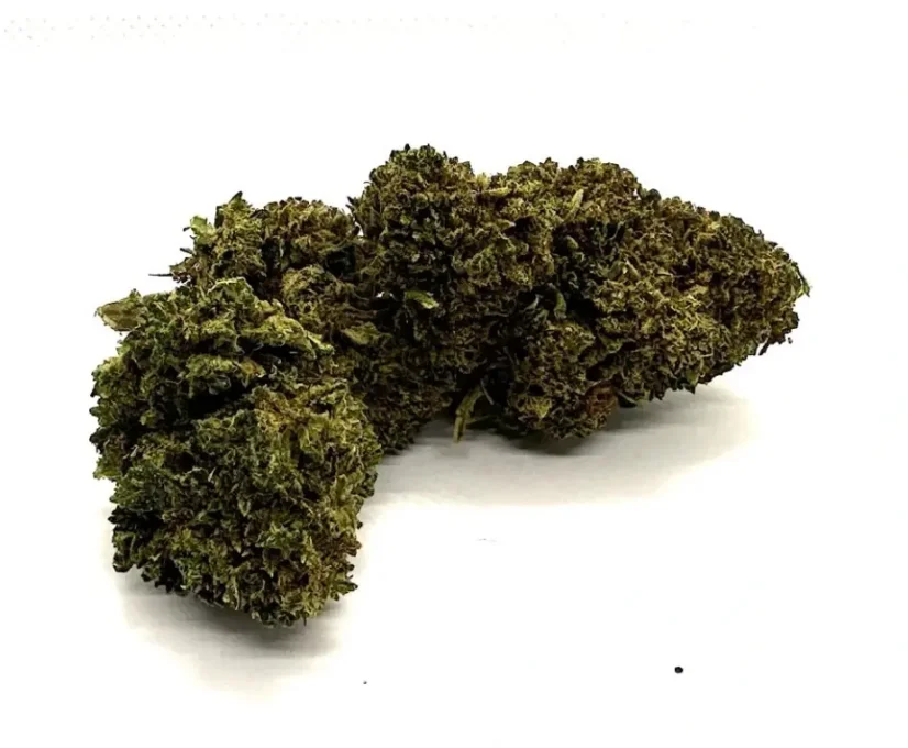Czech CBD THCD cannabis flower Amnesia, 1 g - 1000 g
