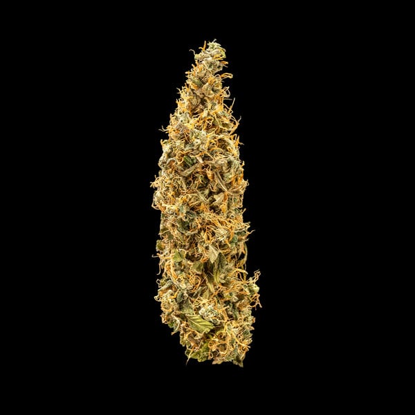 Royal Queen Seeds Seminte de canabis Royal Runtz Auto